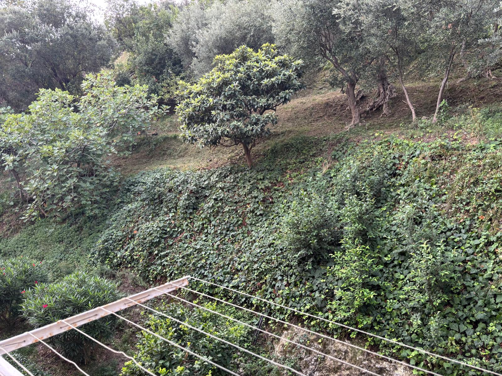 Bilocale con balcone – Celle Ligure